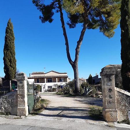 Gites Du Mas Gibert A Saussines Entre Nimes Et Montpellier Exterior foto